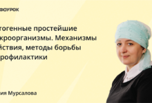 Photo of Инновационные методы борьбы с артериосклерозом: применение статинов