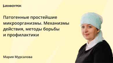 Photo of Инновационные методы борьбы с артериосклерозом: применение статинов