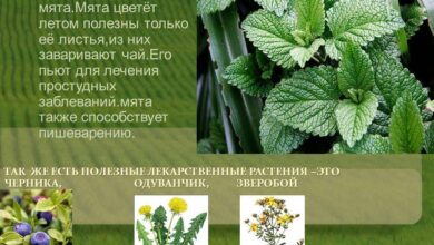 Photo of Инновационные методы борьбы с ожирением: применение лекарственных препаратов