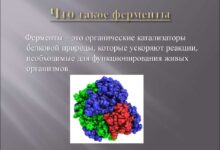 Photo of Прогрессивные подходы к лечению панкреатита: применение ферментов