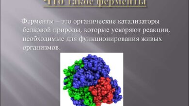 Photo of Прогрессивные подходы к лечению панкреатита: применение ферментов