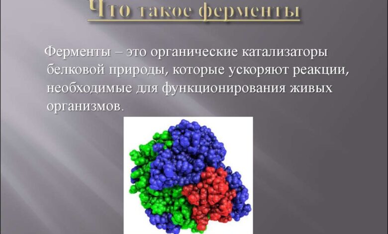 Photo of Прогрессивные подходы к лечению панкреатита: применение ферментов