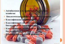Photo of Инновационные методы борьбы с менингитом: применение антибиотиков