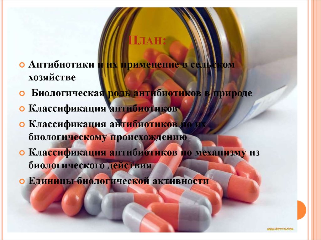 Фото 4 — Инновационные методы борьбы с менингитом: применение антибиотиков